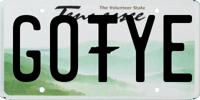 TN license plate GOTYE