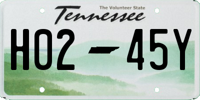 TN license plate H0245Y