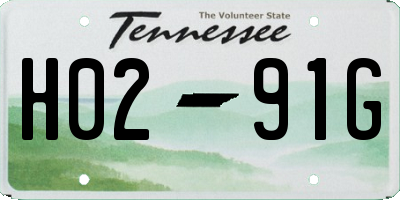 TN license plate H0291G