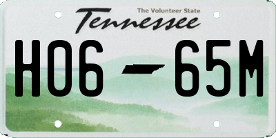 TN license plate H0665M