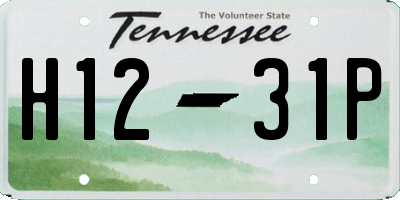 TN license plate H1231P