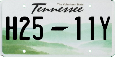 TN license plate H2511Y