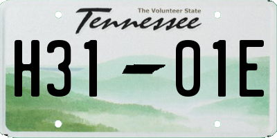 TN license plate H3101E