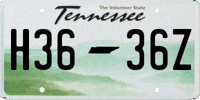 TN license plate H3636Z