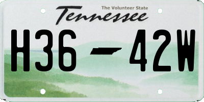 TN license plate H3642W