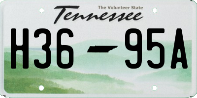 TN license plate H3695A
