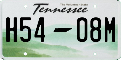 TN license plate H5408M