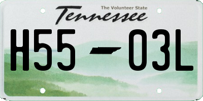 TN license plate H5503L