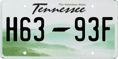 TN license plate H6393F