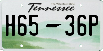TN license plate H6536P