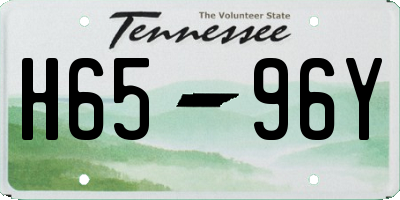 TN license plate H6596Y