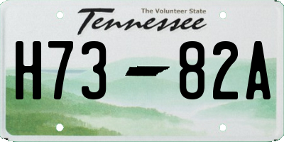 TN license plate H7382A