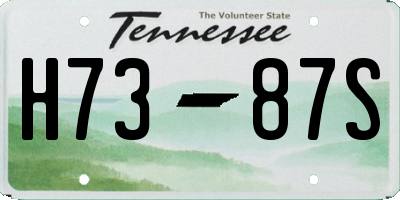 TN license plate H7387S
