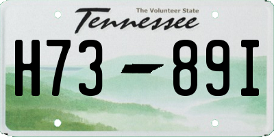 TN license plate H7389I