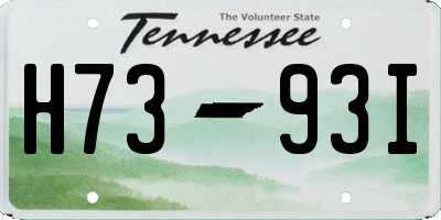 TN license plate H7393I