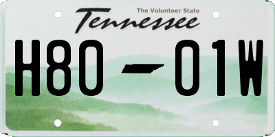 TN license plate H8001W