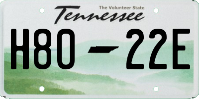 TN license plate H8022E