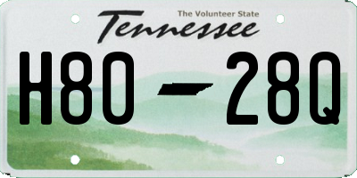 TN license plate H8028Q