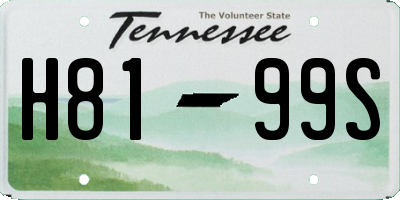 TN license plate H8199S