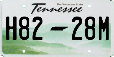 TN license plate H8228M