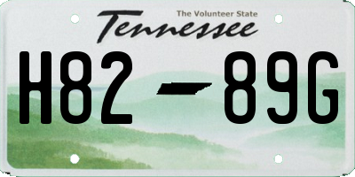 TN license plate H8289G