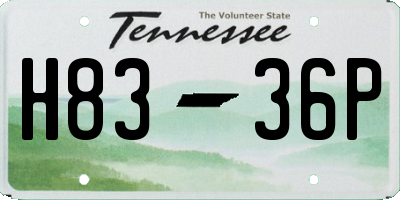 TN license plate H8336P