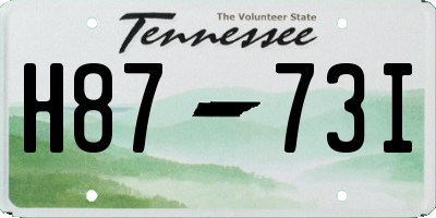 TN license plate H8773I
