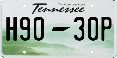 TN license plate H9030P