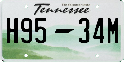 TN license plate H9534M