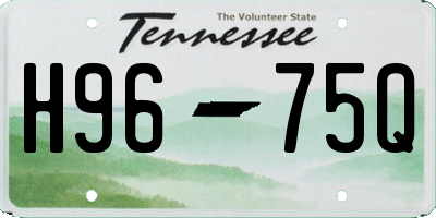 TN license plate H9675Q