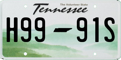 TN license plate H9991S