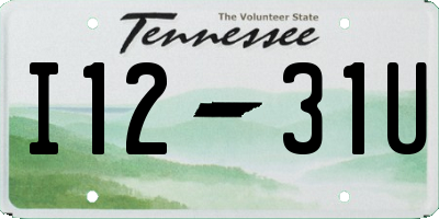 TN license plate I1231U