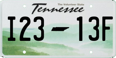 TN license plate I2313F