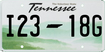 TN license plate I2318G