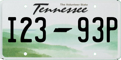 TN license plate I2393P