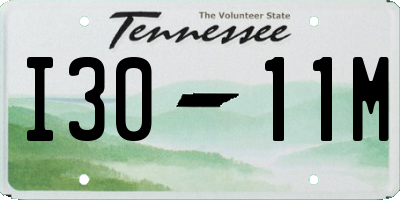 TN license plate I3011M