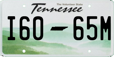 TN license plate I6065M