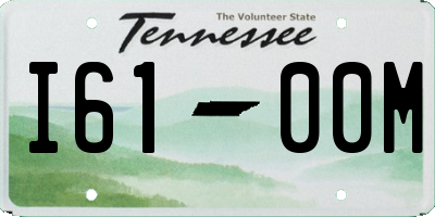 TN license plate I6100M