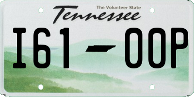 TN license plate I6100P