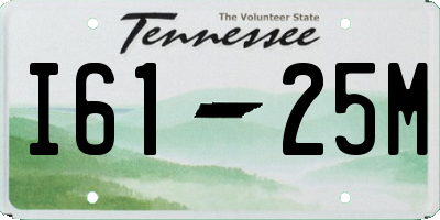 TN license plate I6125M