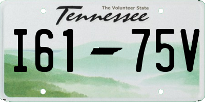 TN license plate I6175V