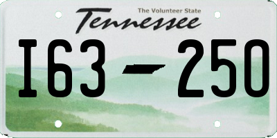 TN license plate I6325O