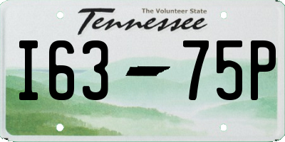TN license plate I6375P