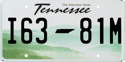 TN license plate I6381M