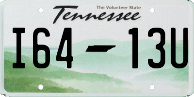 TN license plate I6413U