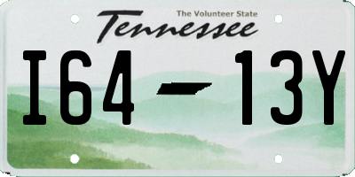 TN license plate I6413Y