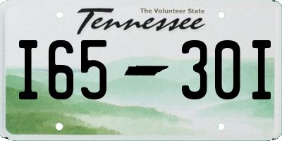 TN license plate I6530I