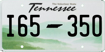TN license plate I6535O