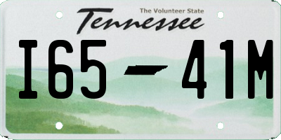 TN license plate I6541M