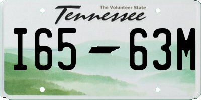 TN license plate I6563M